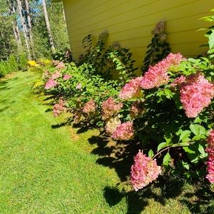 Meet your Posher, Raphaela